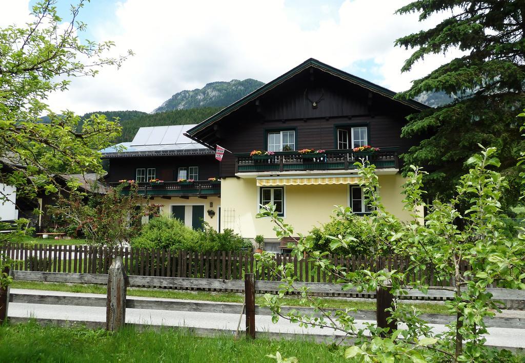 Schoenauer Apartment